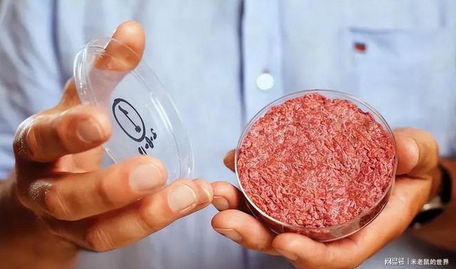 对华阴谋失败欧美人造肉为何败退中国不朽情