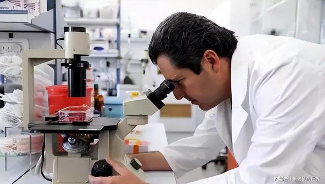 对华阴谋失败欧美人造肉为何败退中国不朽情缘手机网站中国人不买账了西方(图6)