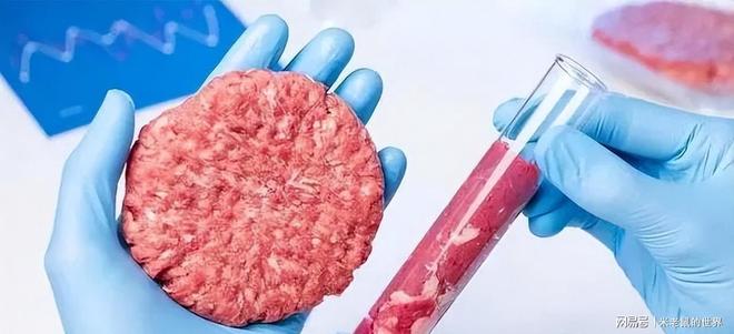 对华阴谋失败欧美人造肉为何败退中国不朽情缘手机网站中国人不买账了西方(图5)