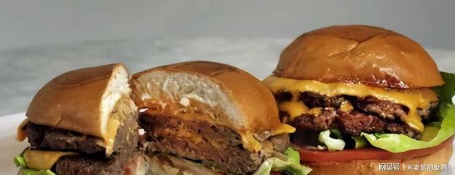 对华阴谋失败欧美人造肉为何败退中国不朽情缘手机网站中国人不买账了西方(图11)